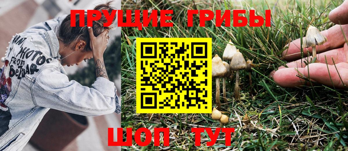 Галлюциногенные грибы Psilocybe  Вход с VPN  Галлюциногенные грибы MAGIC MUSHROOMS  Кострома 
